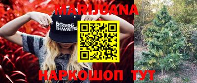 сатива Малоярославец