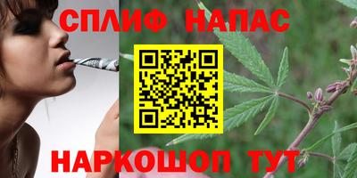 сатива Малоярославец
