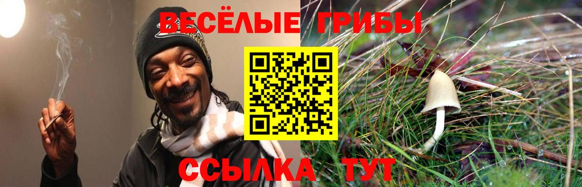 Псилоцибиновые грибы Psilocybe  сколько стоит  Дмитров  Вход с VPN  Галлюциногенные грибы GOLDEN TEACHER 